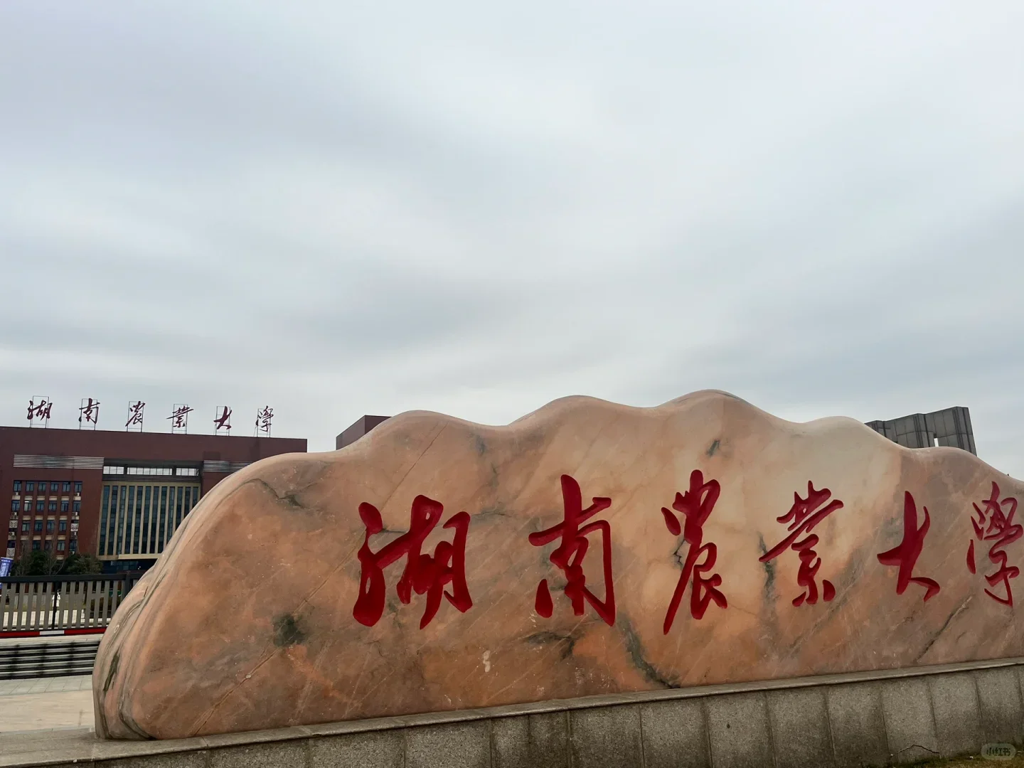 硕士进大专（仅湖南）说点小道消息