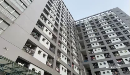 急招急招，招工买马啦🔔🔔🔔