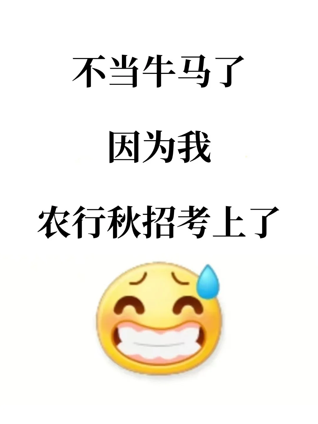 🌊 不用当牛马了 因为姐考上农行啦