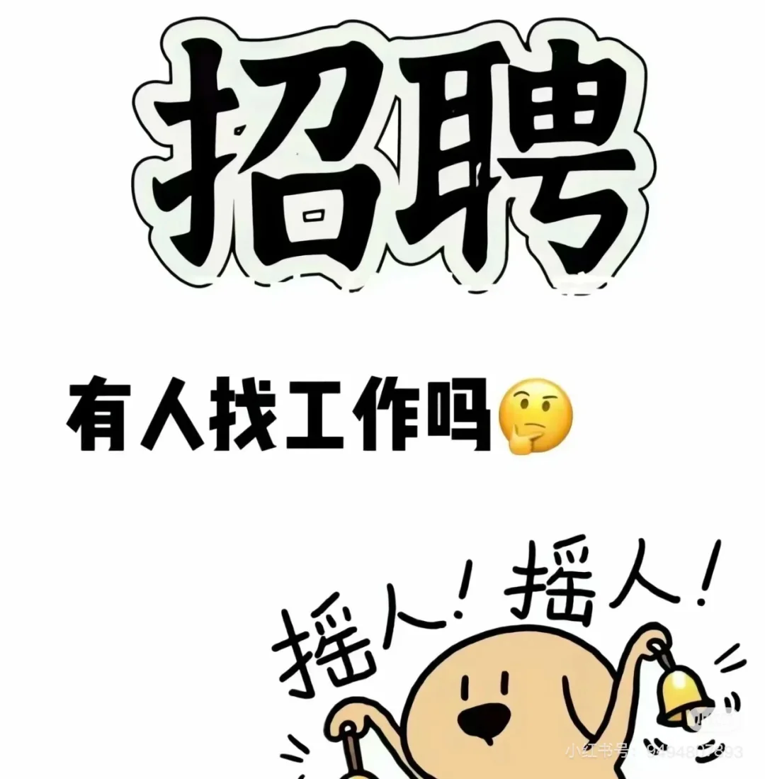 招人事专员2名