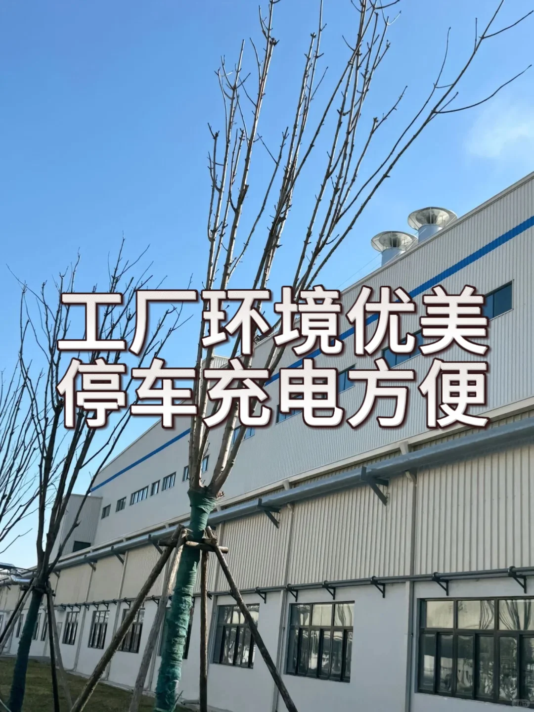 东莞玩具厂 月薪6000＋