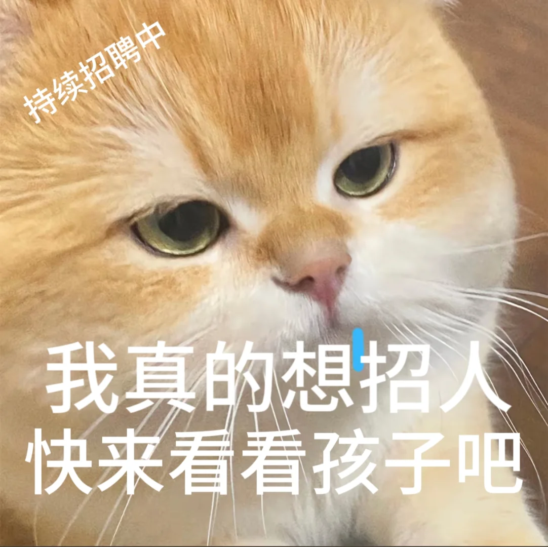 找工作 招聘表情包、免费分享小猫表情包