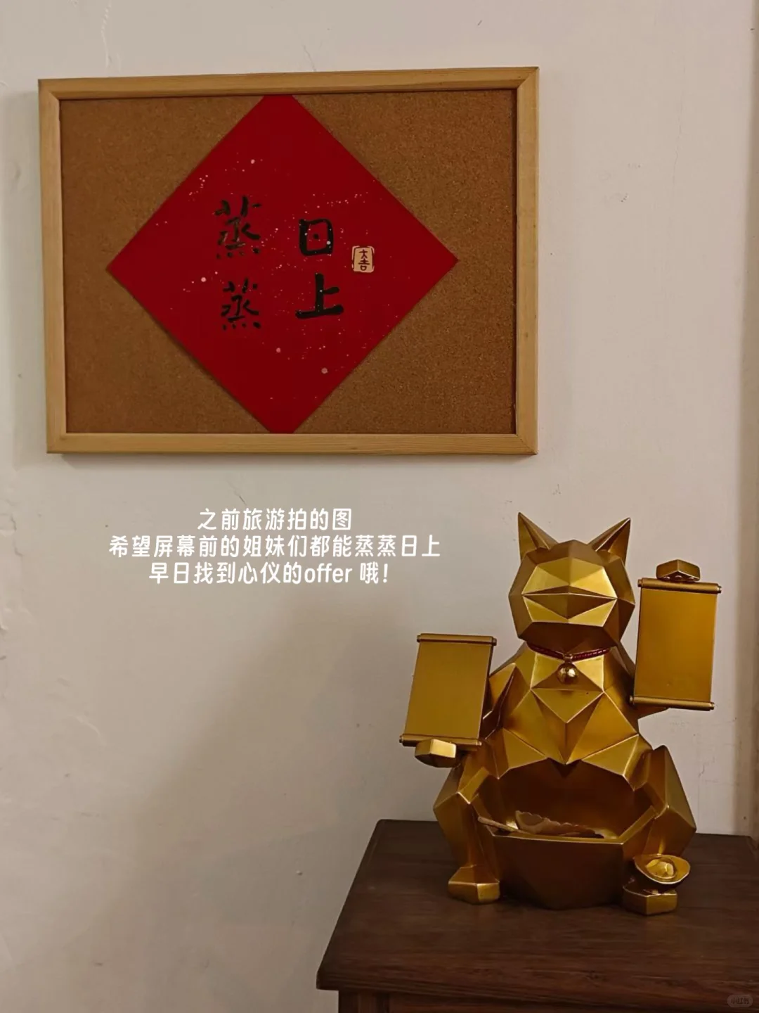 Plog|月入过W的工作被我找到啦！