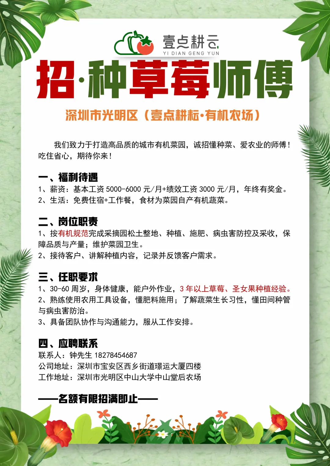 招聘草莓种植师傅