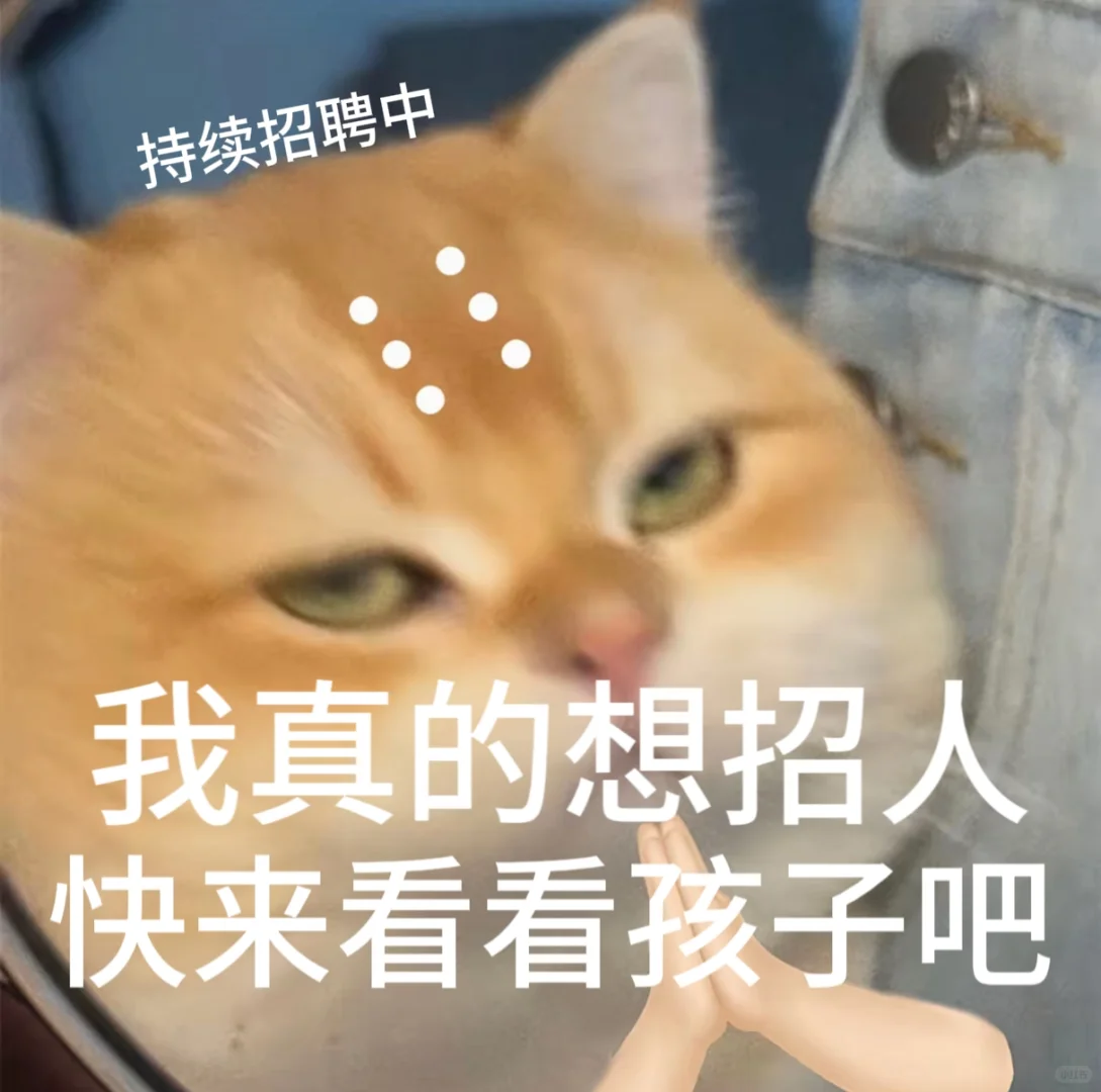 找工作 招聘表情包、免费分享小猫表情包