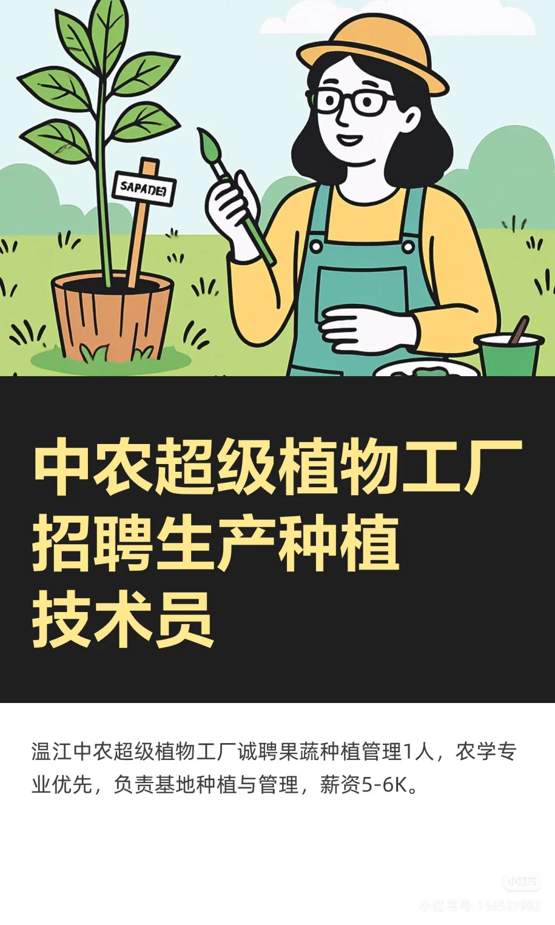招聘|想来超级植物工厂种地吗？