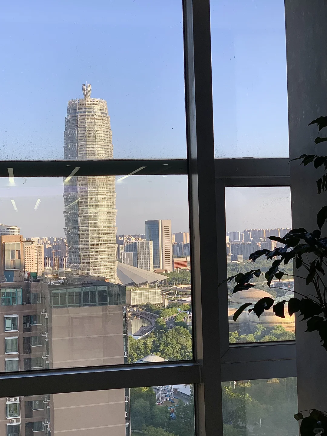 在郑州boss快刷烂了！！！