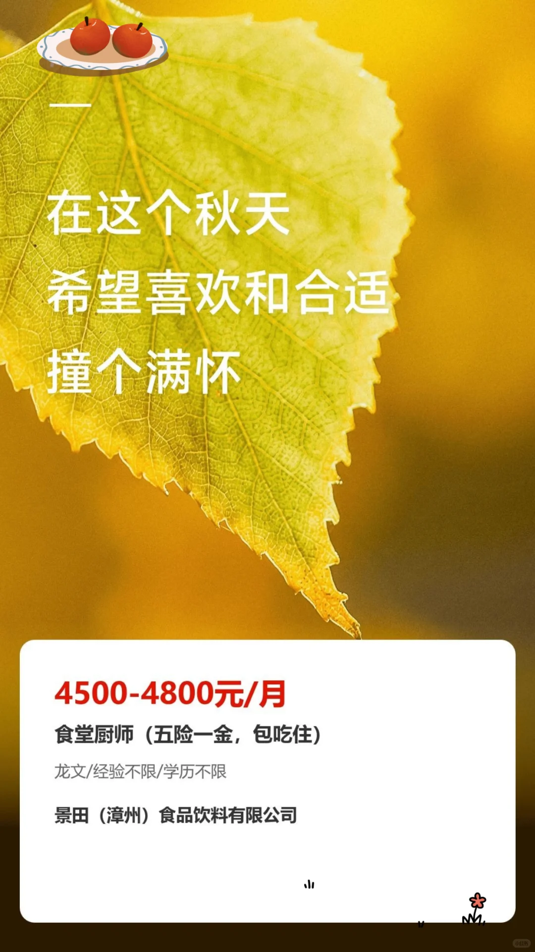 食堂厨师五险一金包吃住