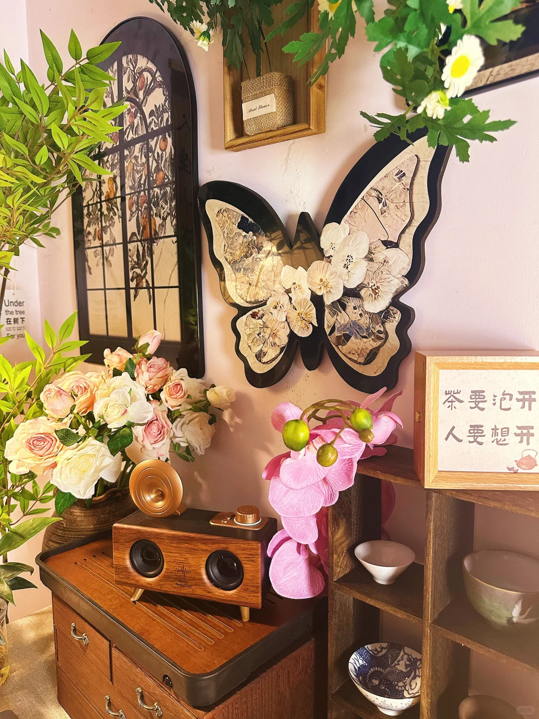 首播预告｜新人小白决定直面恐惧，开播了