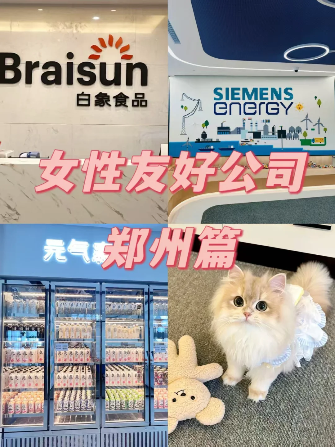 郑州女性友好公司 福利好～