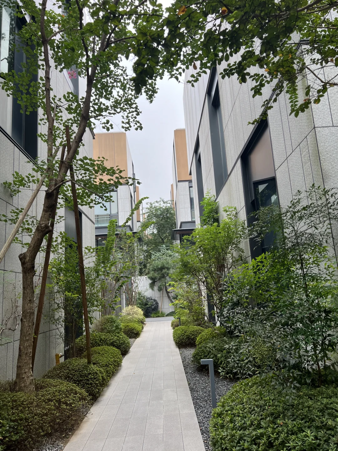 杭州新媒体公司招人啦