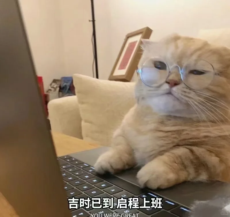 超好用的招聘图片