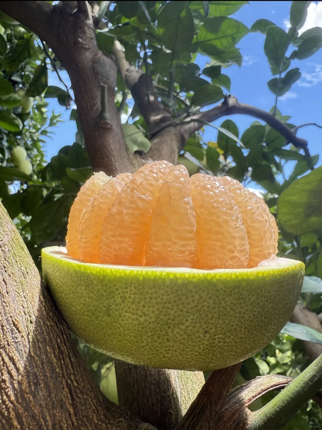 招聘主播可兼职