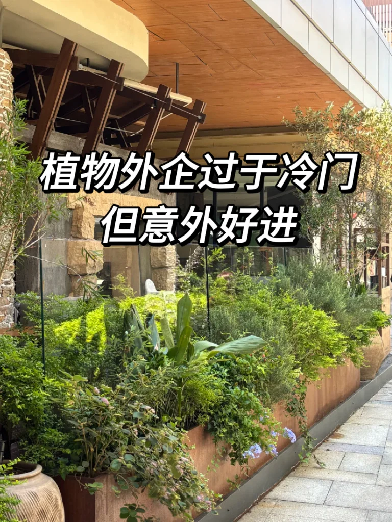 植物外企过于冷门，但意外好进