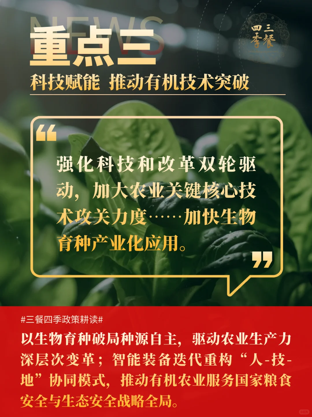 《农业强国规划》摘选｜三餐四季耕读10重点