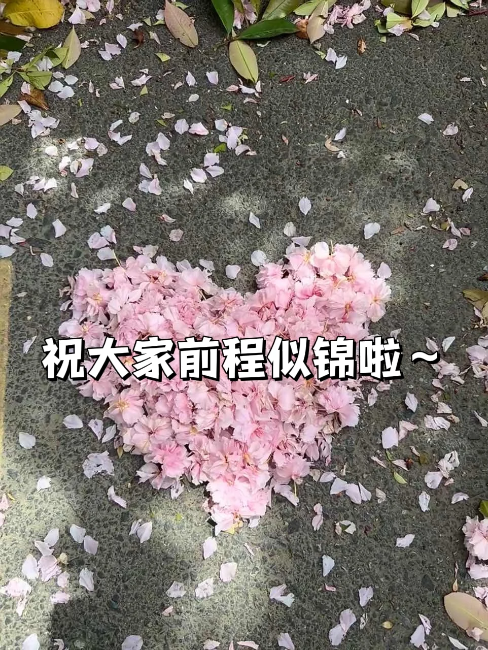 果然销售转行，干什么都会成功的✌🏻