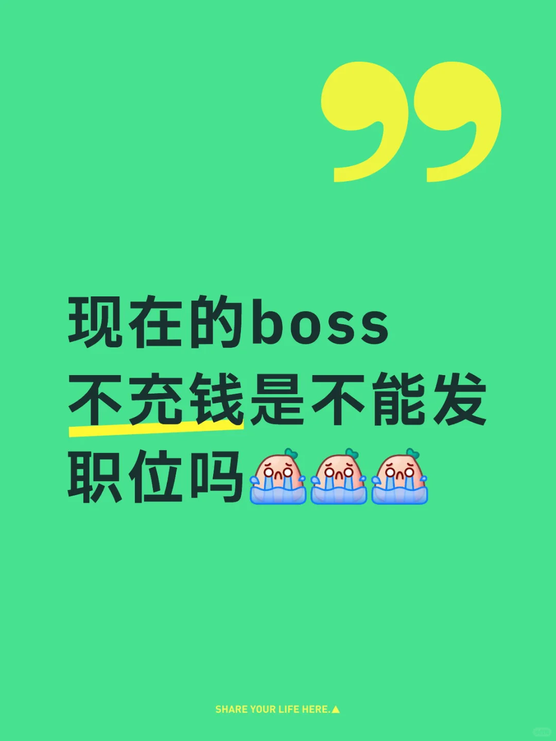 伤心伤心发不了职位