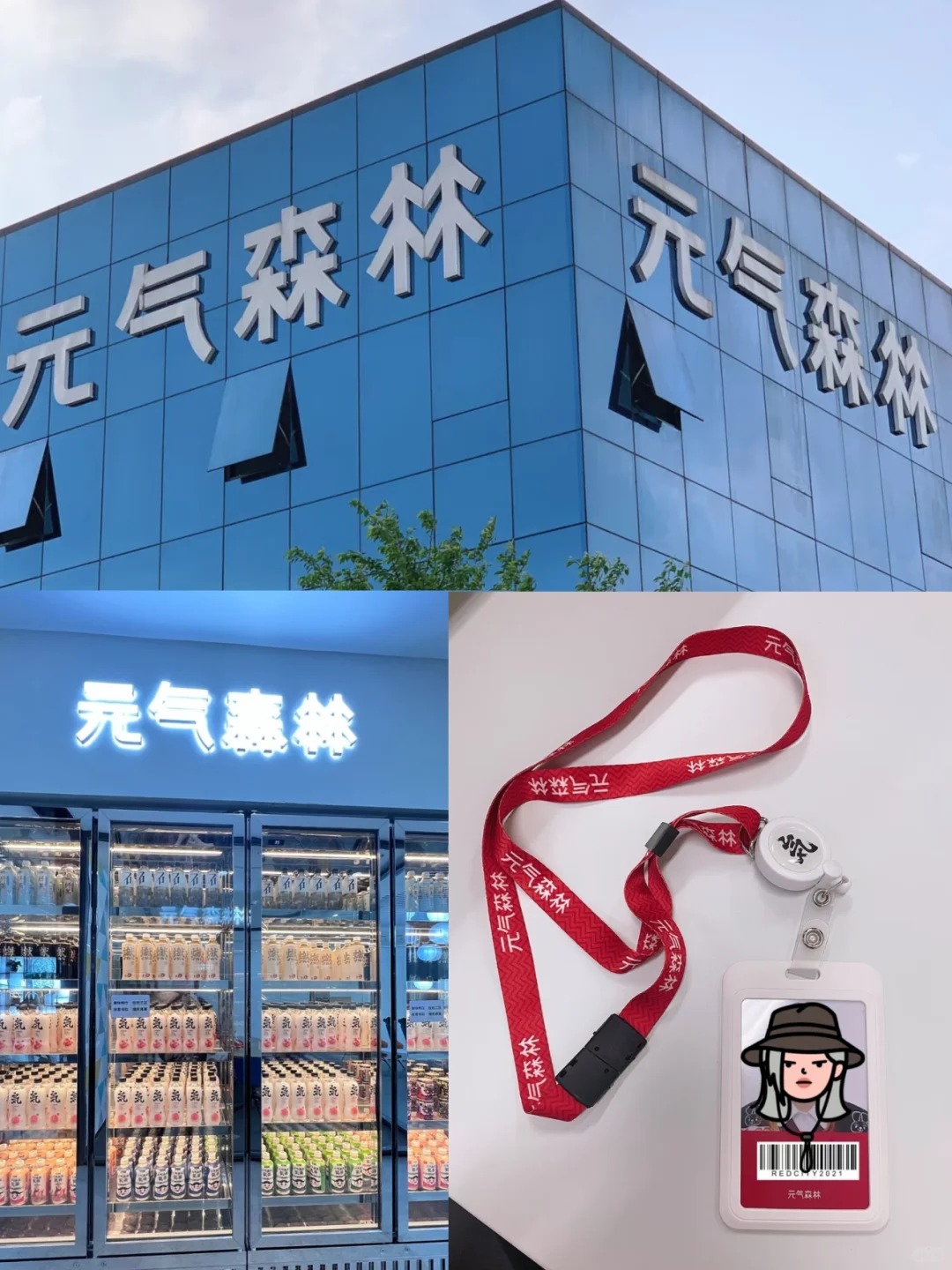 元气森林招实习生啦！接受无经验！