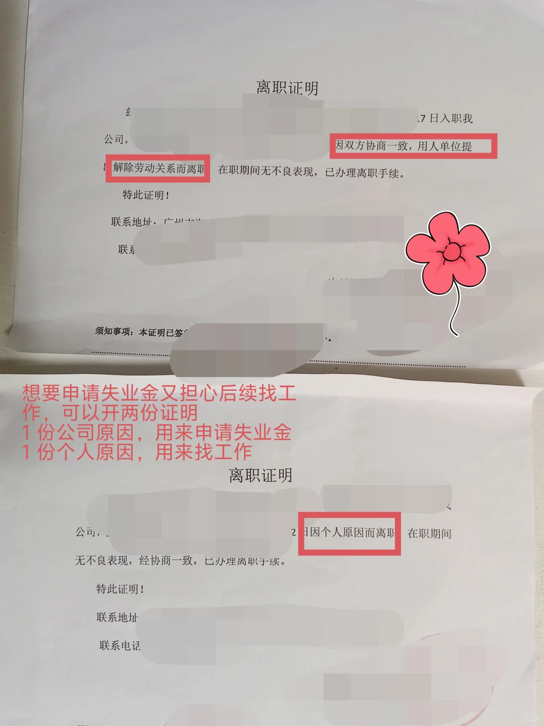 第一次申领失业金，终于过了（附攻略）
