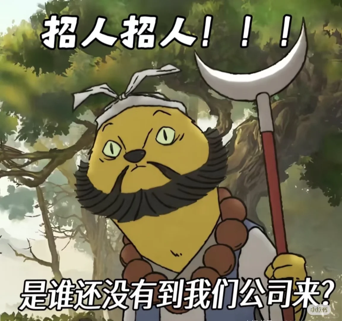 招主播 ！高保底！高提成！