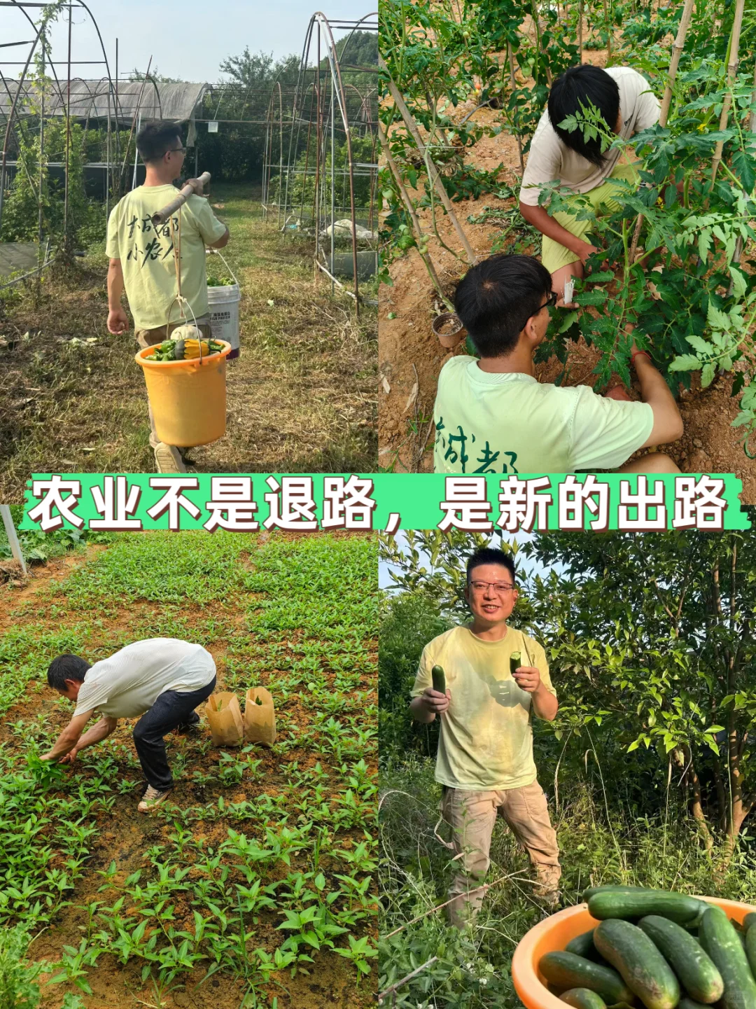 农业不是退路，是新的出路