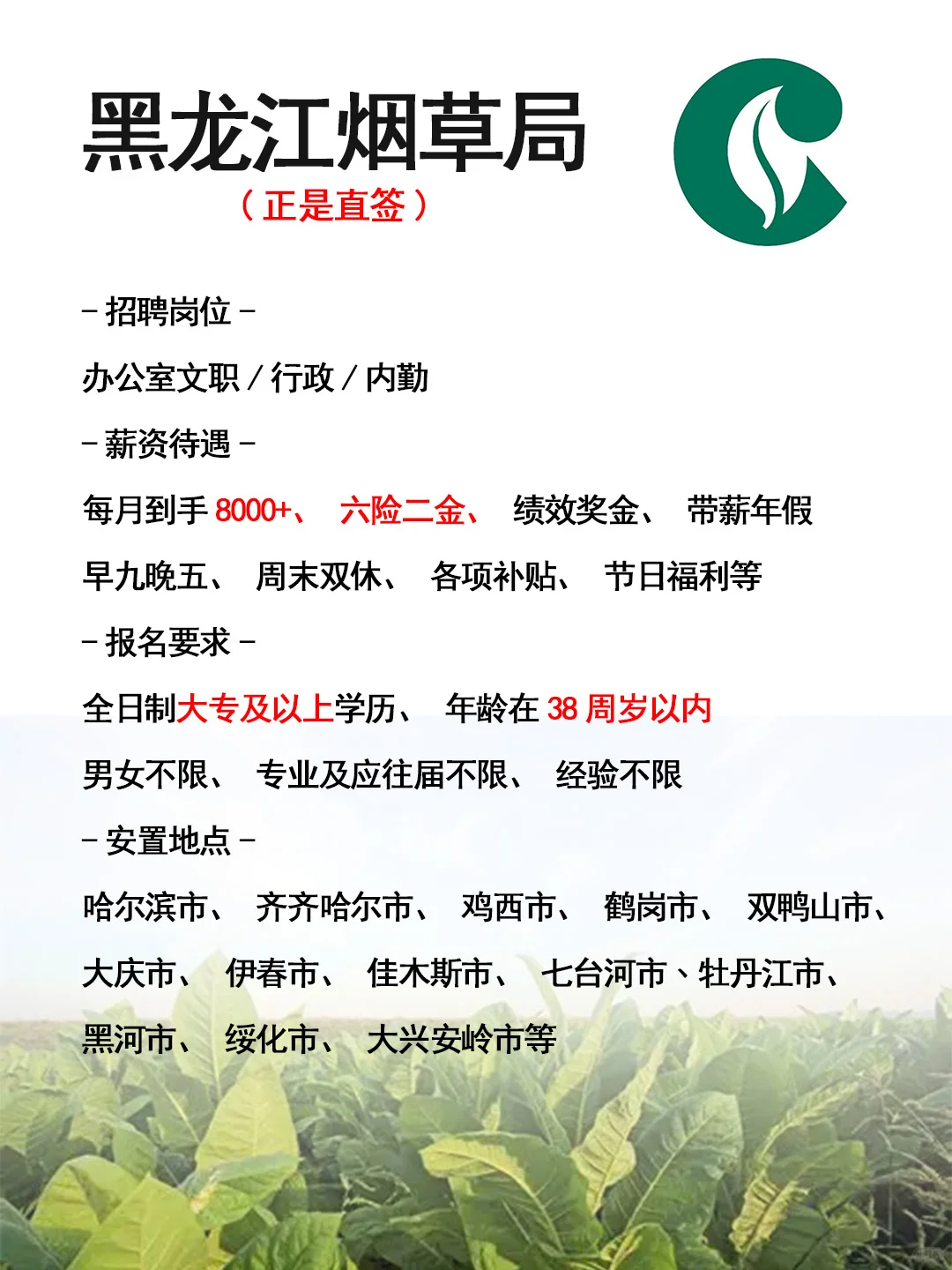 黑龙江烟草局招人了🎉正式工,不辞退~