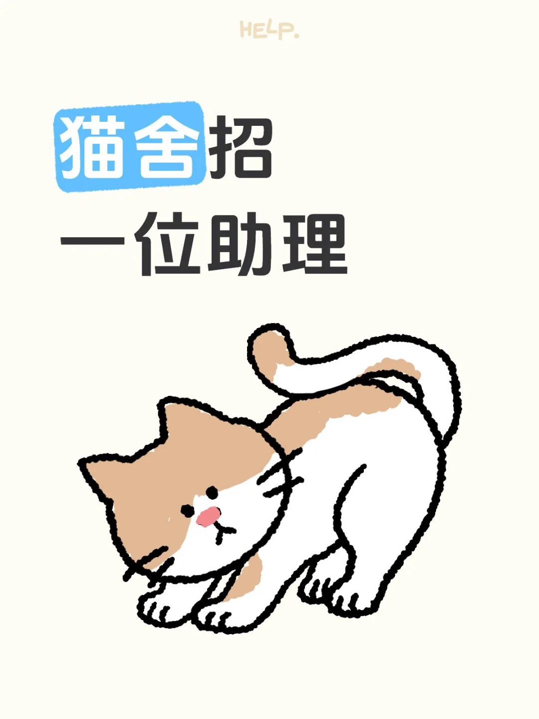 北京猫舍招助理