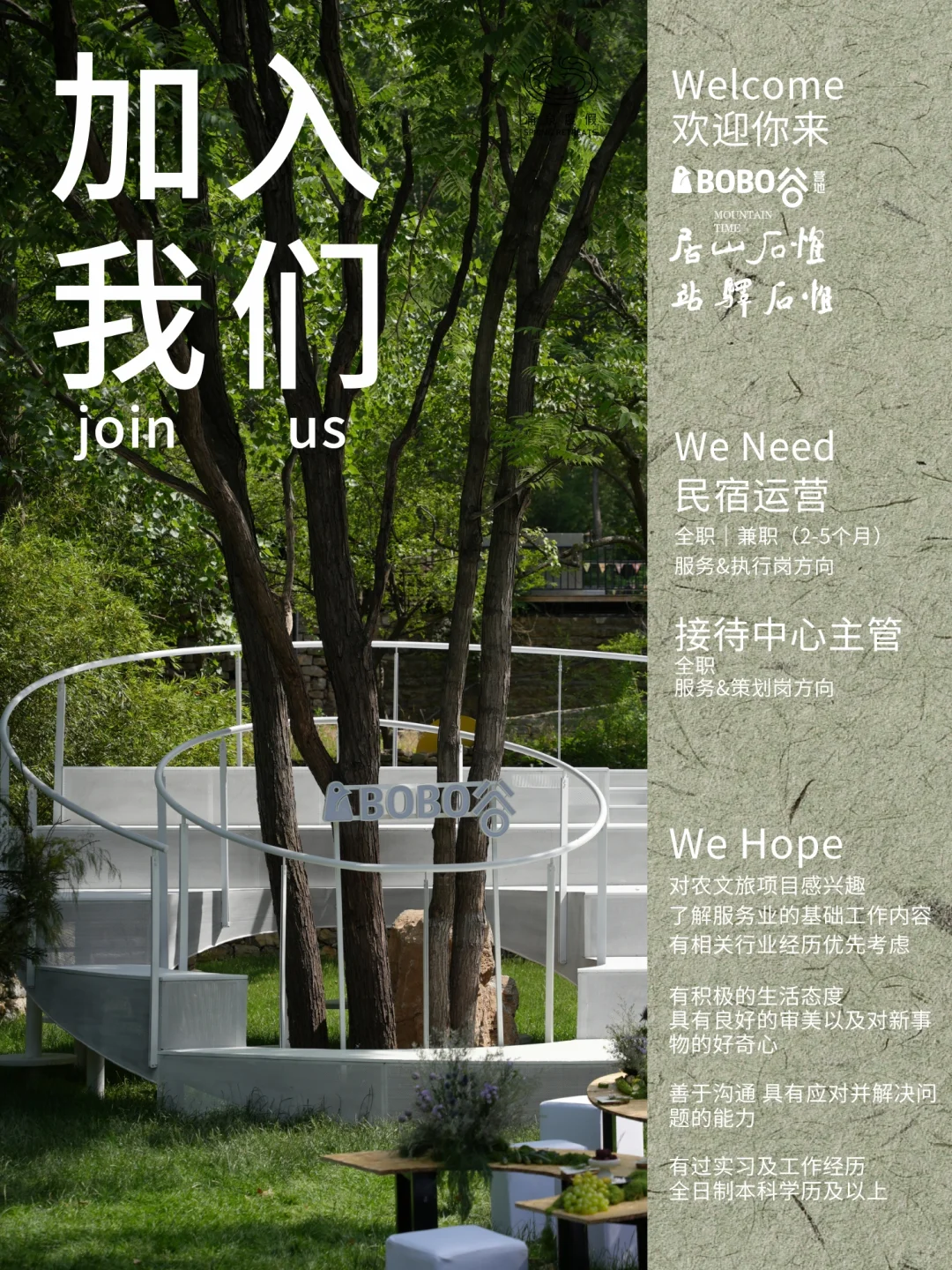 招聘来了｜这座山的创作者 我们只向前看