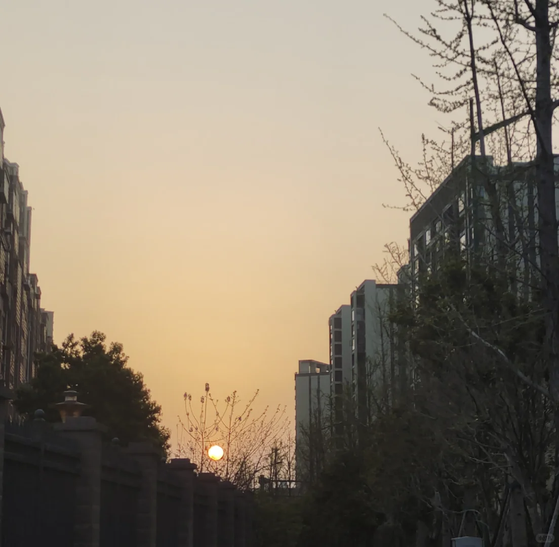 应届生无经验