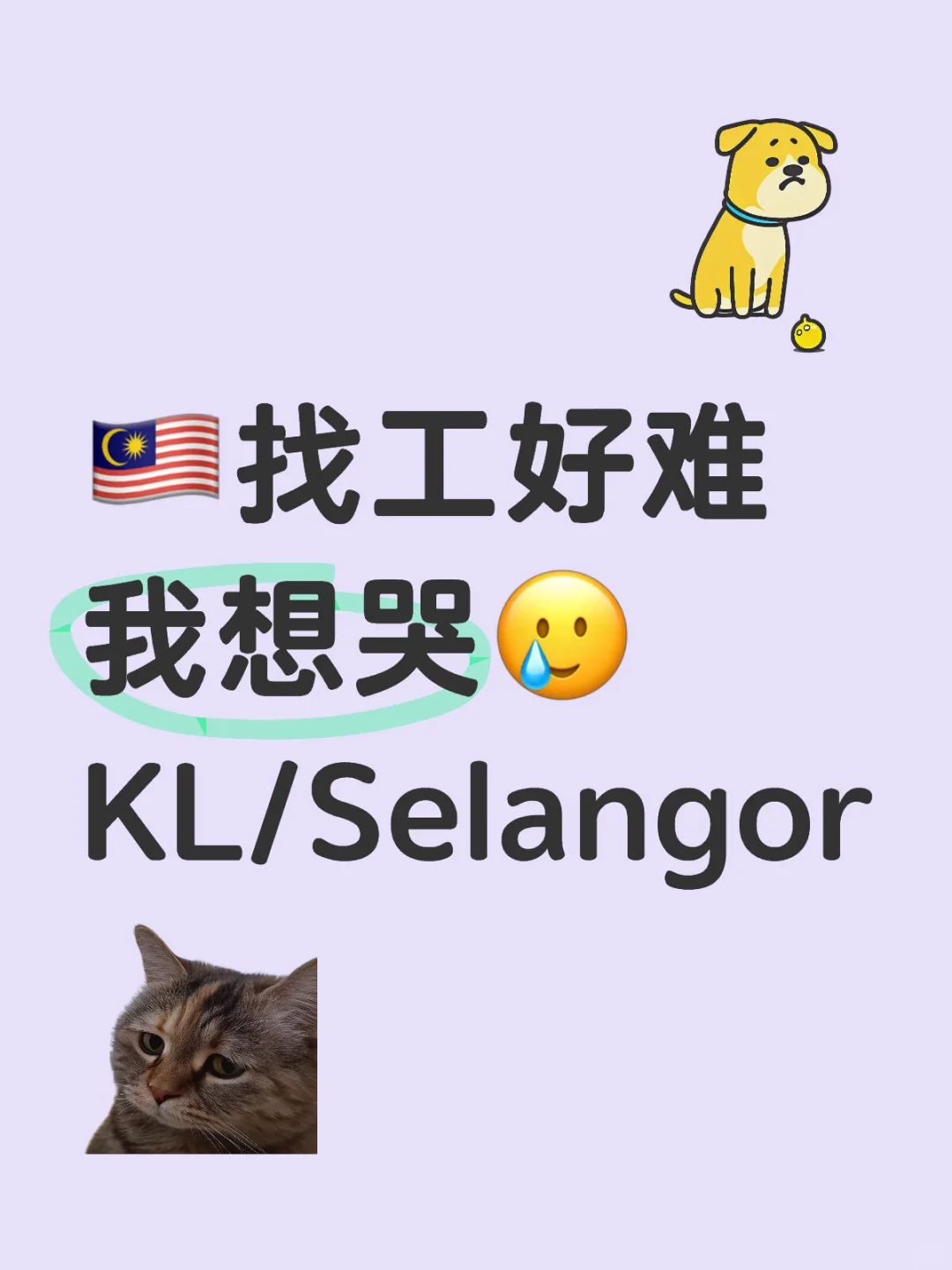 找不到合适的工作很焦虑啊啊啊啊！😭