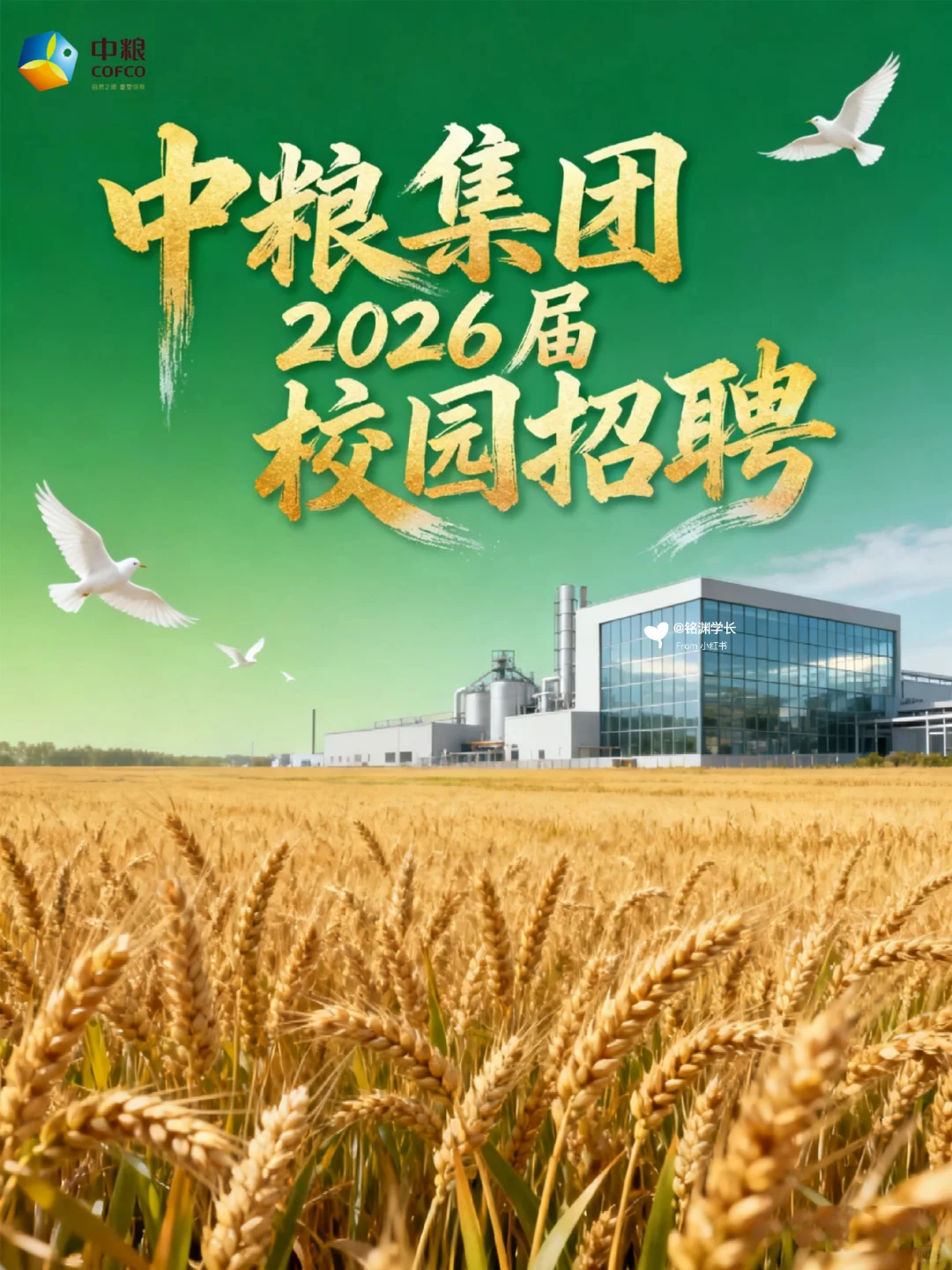 央企天花板！中粮集团校招捞人啦