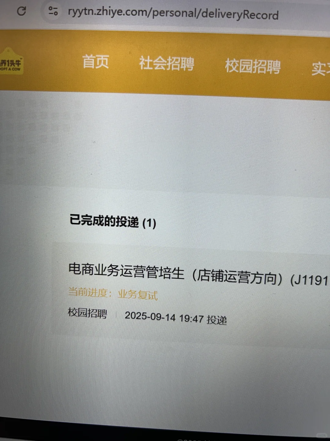 认养一头牛秋招