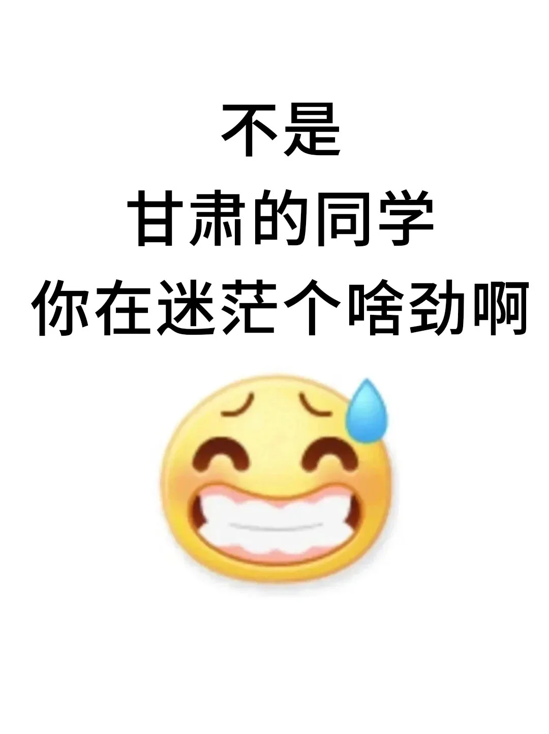 不是，甘肃的同学你在迷茫个啥劲啊！