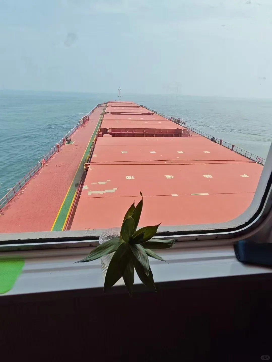 招聘海员！！！招聘海员！！