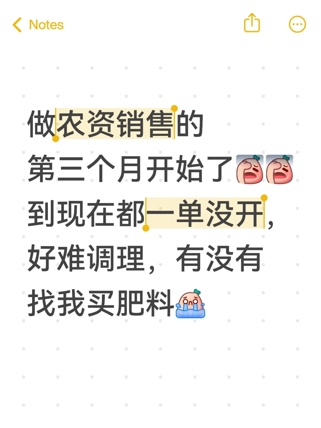 每天都想跑路了