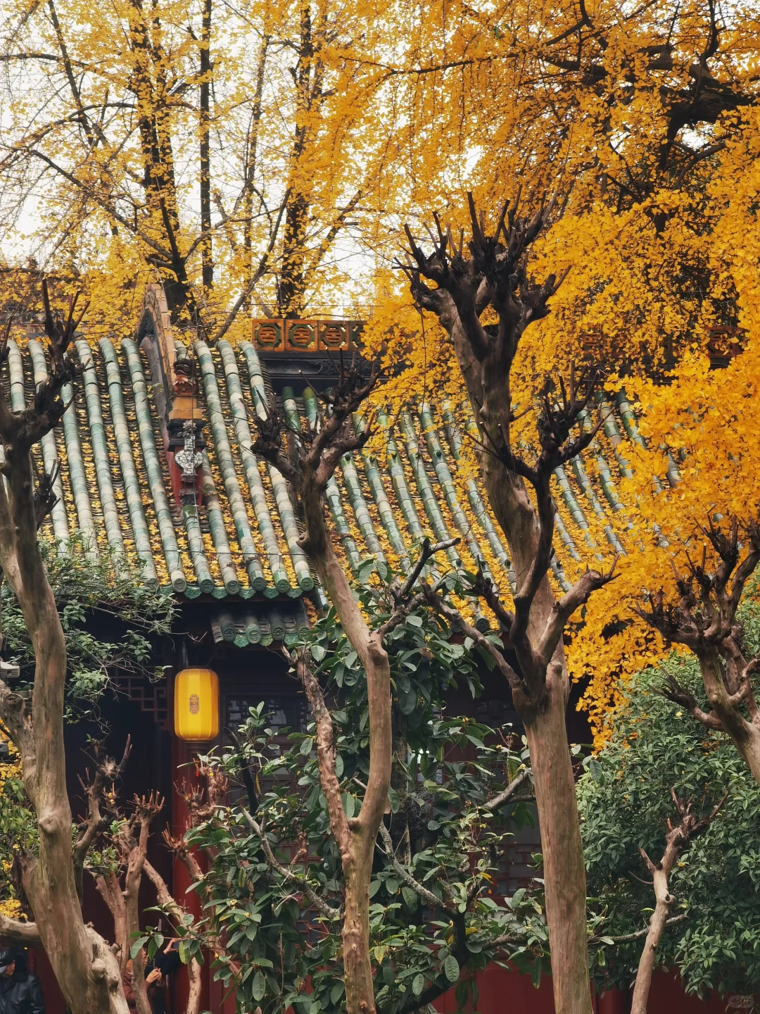 三十岁又怎样，四十岁又何妨