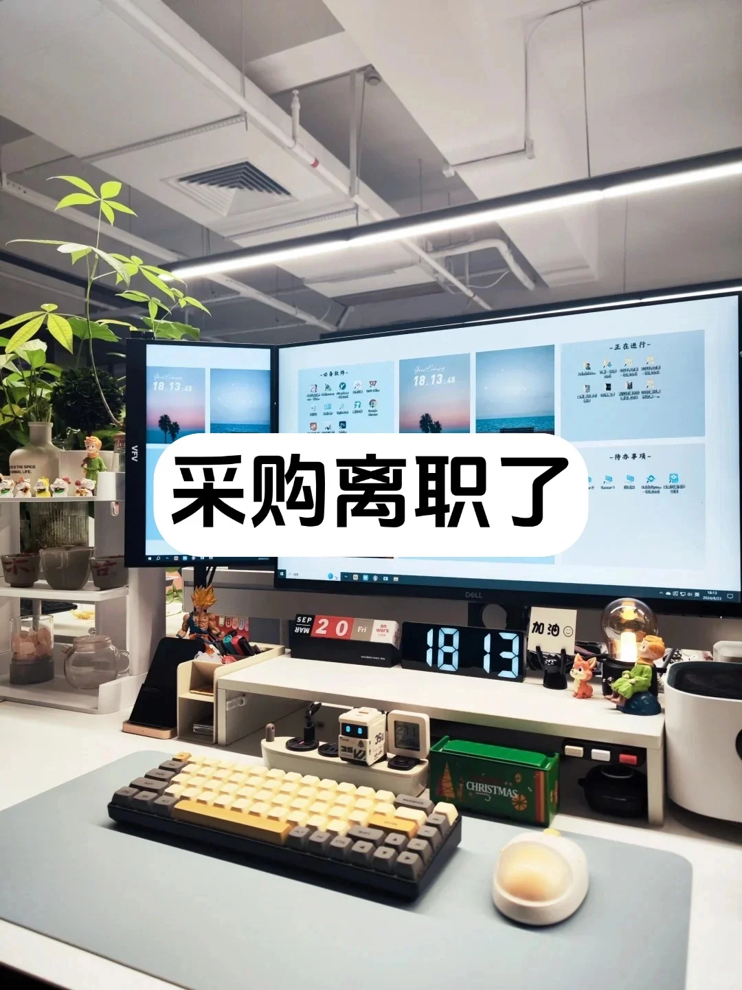 月薪六千的采购离职了，招了我来顶替她的