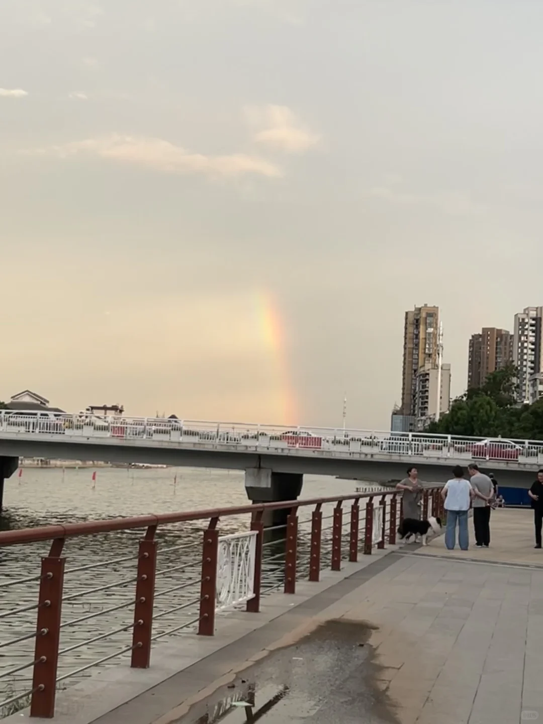 洪湖招聘主播