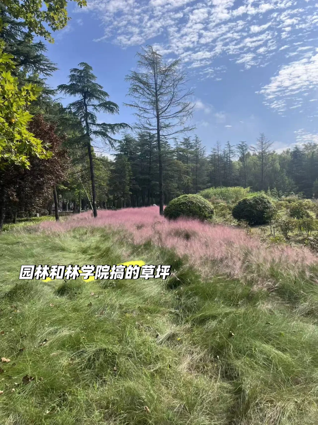 毕业8年回母校，发现只有我一个人在搞农业