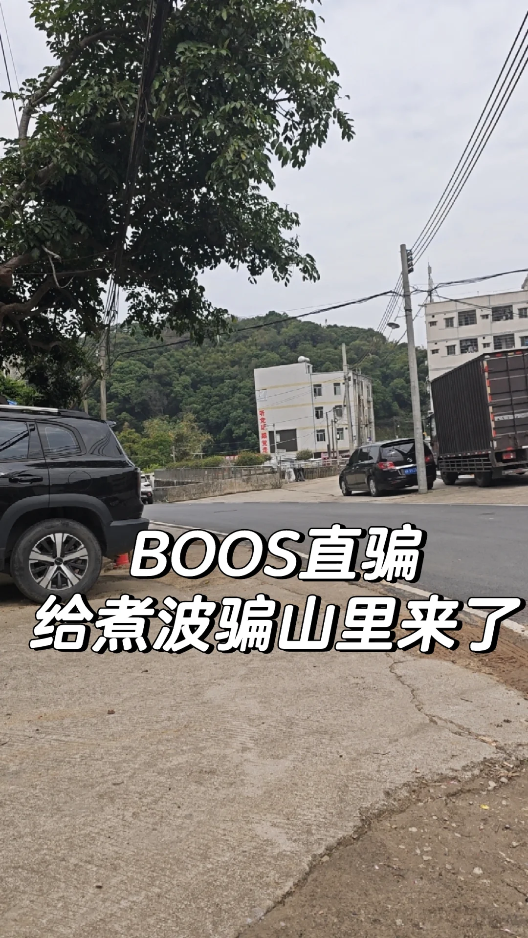 BOSS直骗，被骗进村了