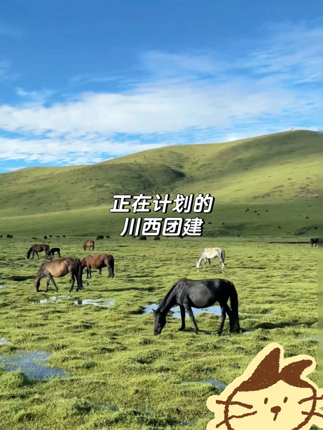 成都双休神仙公司招人啦！！