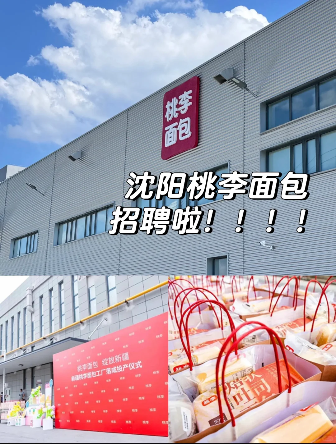 沈阳桃李209/天 待遇好