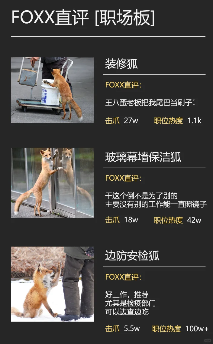 给狐狐开发了一个FOXX直聘