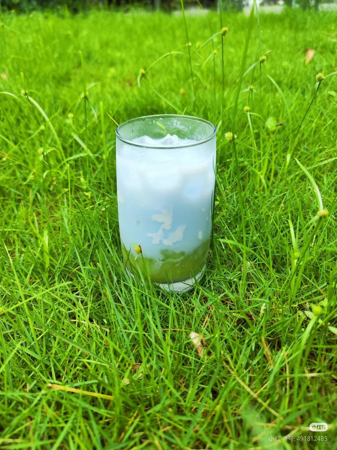 广州案场招聘啦 欢迎靓女（急聘）