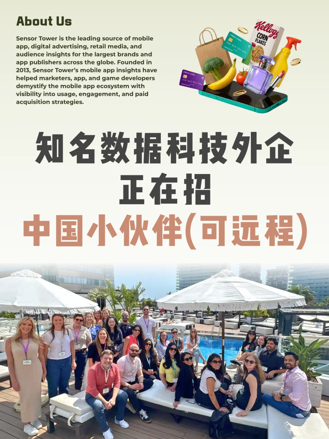 可远程办公的数据分析岗👋要中文小伙伴