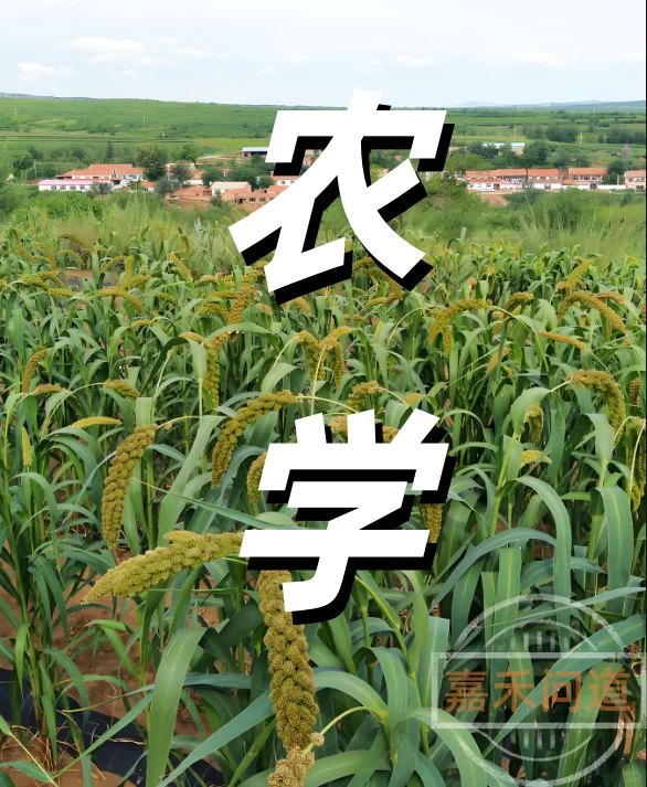 农学LW指导