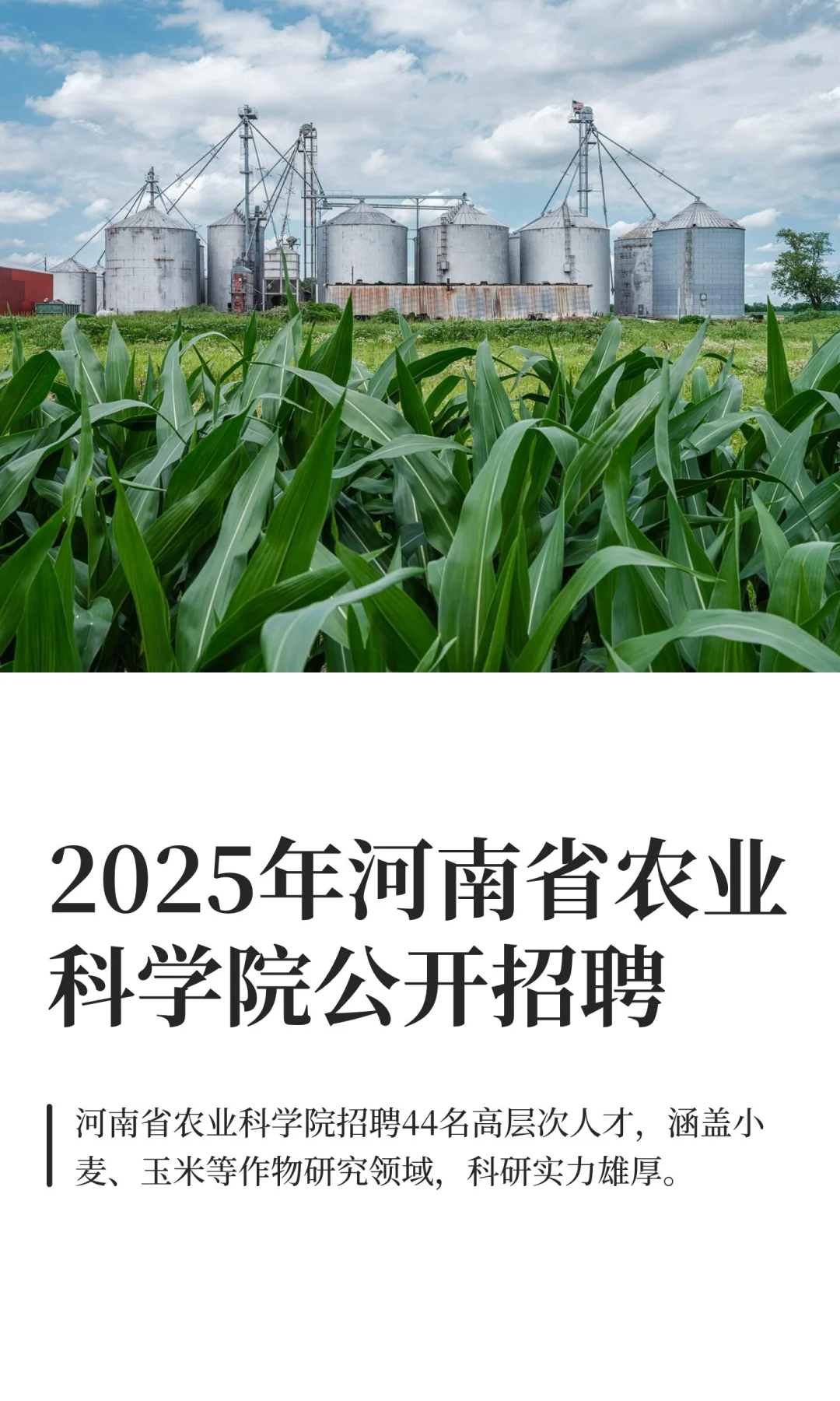 2025年河南省农业科学院公开招聘