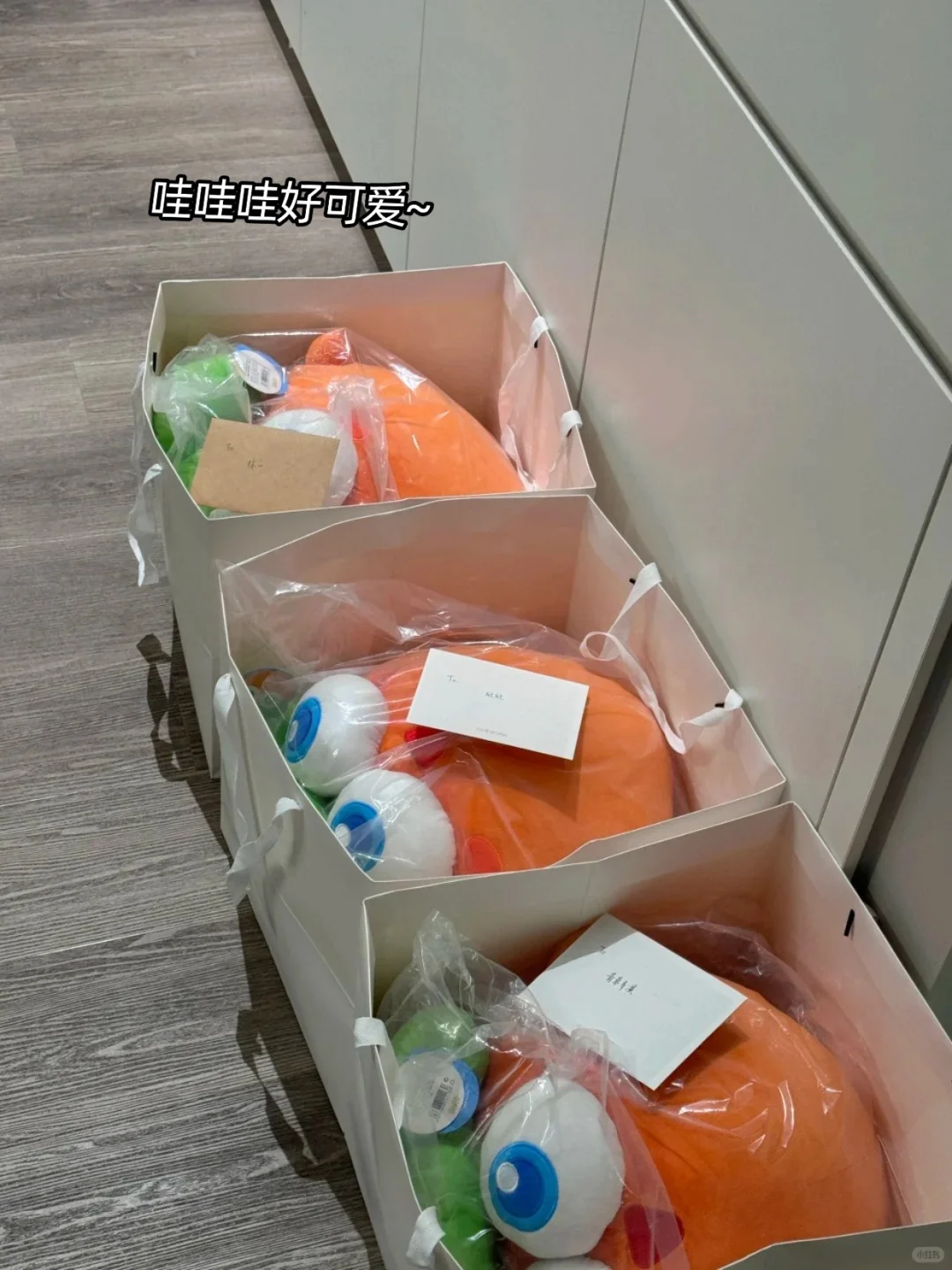 🙋‍♀️女性友好公司——佛山篇