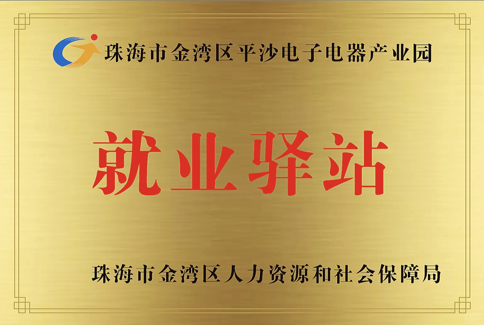 急招：新媒体运营、主播
