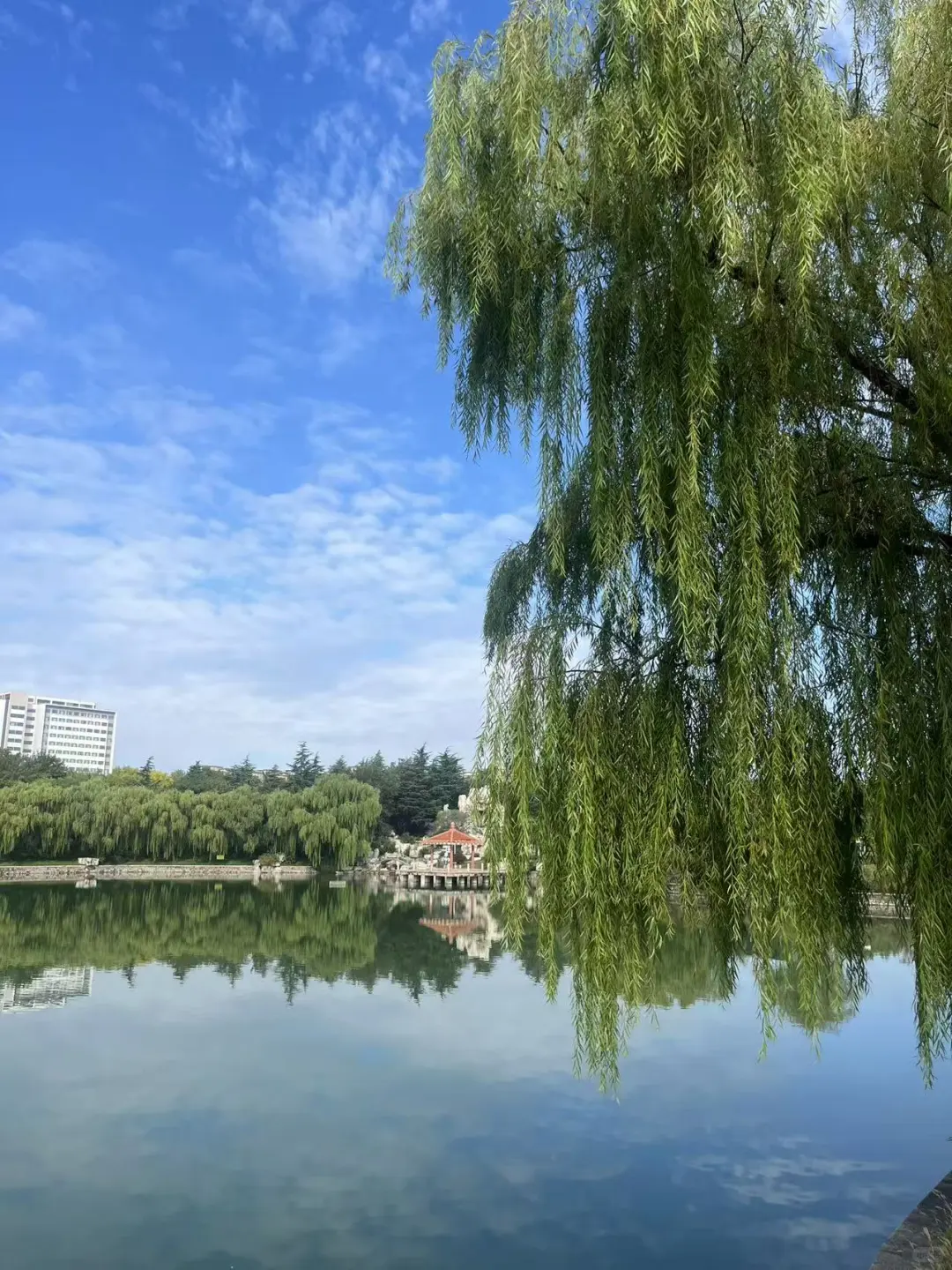 毕业8年回母校，发现只有我一个人在搞农业